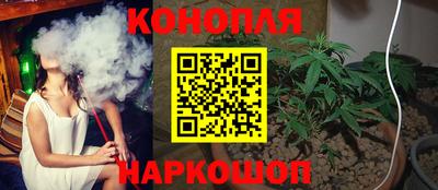 гашик Будённовск