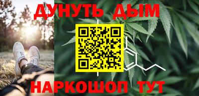 гашик Будённовск