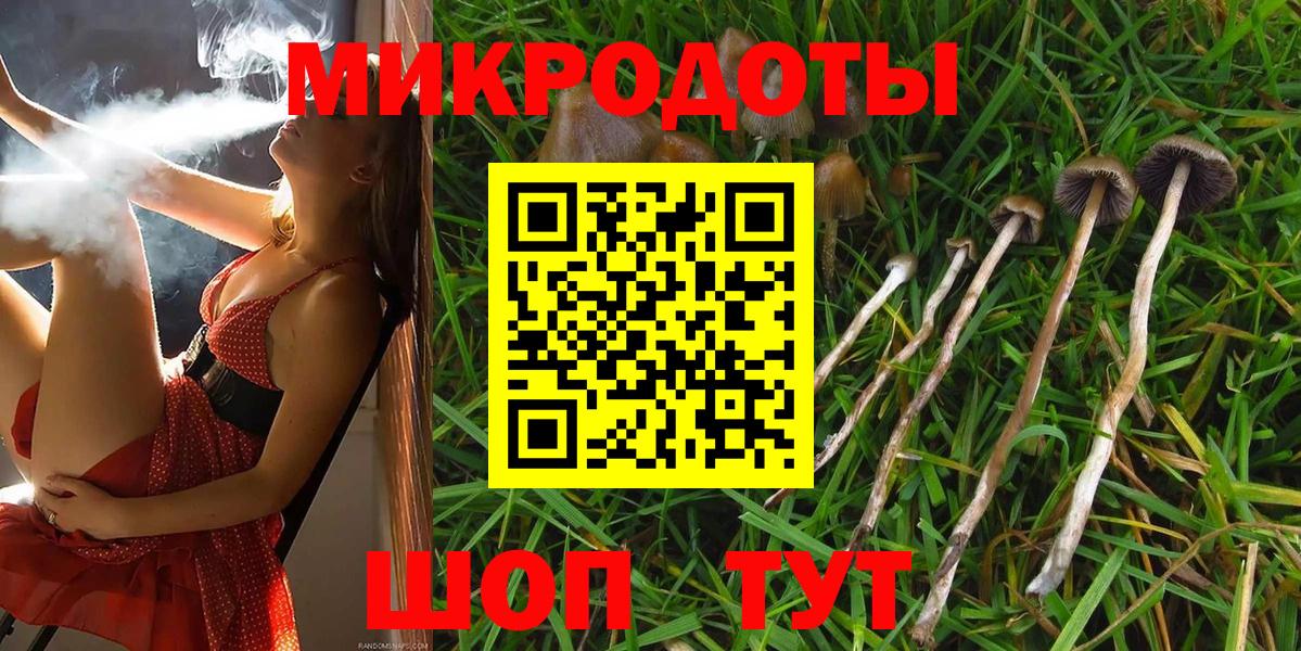 Галлюциногенные грибы Magic Shrooms Тавда