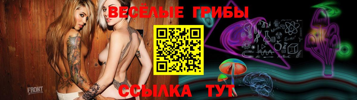Тавда  Псилоцибиновые грибы мицелий  Вход с VPN 
